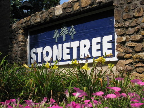 The large 1, 2 & 3 bedroom apartments and townhomes at Stonetree deliver maximum space without the high price in a variety of floor plans.