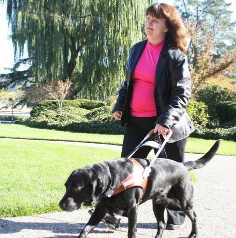 SherryGomes's profile picture. Author of Haven, to be released July 15, 2021. First book in the Haven Valley series!