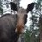 austinbaker10's profile image