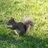item_winda's profile image