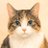 eai333777's profile image