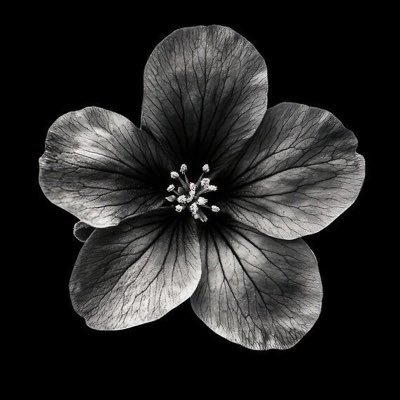 fuenay_'s profile image