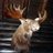 js_sky267's profile image