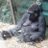 Farawaydowns's profile image