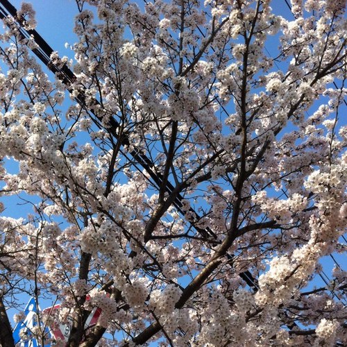 eifrifqkqh's profile picture. ㅎㅎㅎ