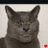 Badmanexplicit's profile image
