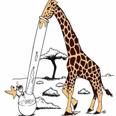oBiiraa's profile image