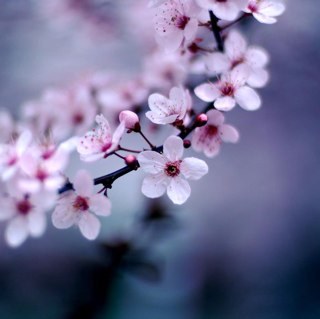 todayeve's profile picture. 