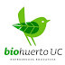 huerta estudiantil. Enseñando y difundiendo el desarrollo de huertas urbanas ecológicas