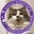 Angetropmignone's profile image