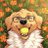 SaferCal's profile image