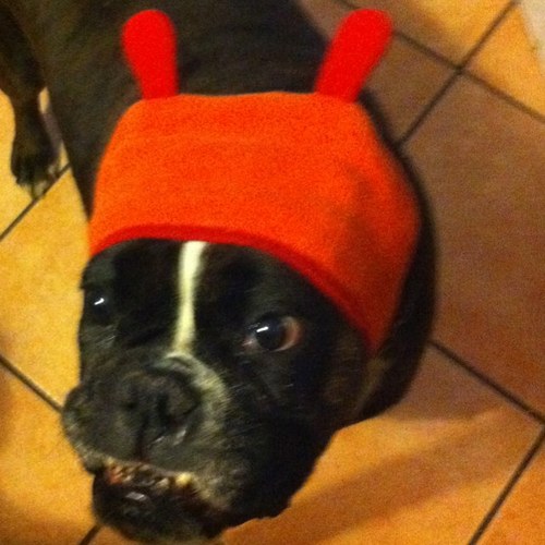 Barbara7574's profile picture. 