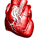 CSI_HENG's profile picture. 