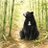 HirokiTakekuma's profile image