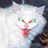 alicepolarbear's avatar