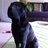 joanna_stuckey's profile image
