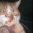 obisssko's profile image