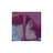 __jxgokx's profile image