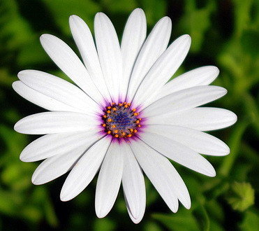 MBR13244's profile picture. 