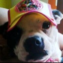 Barbara Olivera - @Barbara2078 - Twitter