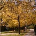 Scott Janke - @jankes1 - Twitter