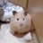 astep232353's profile image