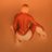 dilftarokujo's profile image