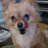 JamesLo82676159's profile image