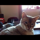 kate sutherland - @k8aram - Twitter