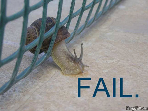 umimthinking's profile picture. Your neighborhood sarcastic curvy chick