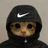 mireo1x's profile image