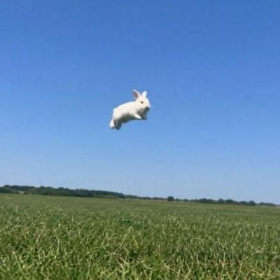 messi -🐰