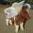 cocoxpri's profile image