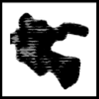CitizenStreams (@citizenstreams) 's Twitter Profile