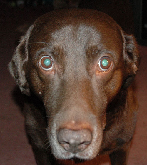 ewdiehl's profile picture. 