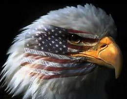 Admin @ http://t.co/EMqg4UaPlx - Prepper gear, resources, news and product reviews for the Prepper Community