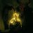 TheBagCommunity's profile image