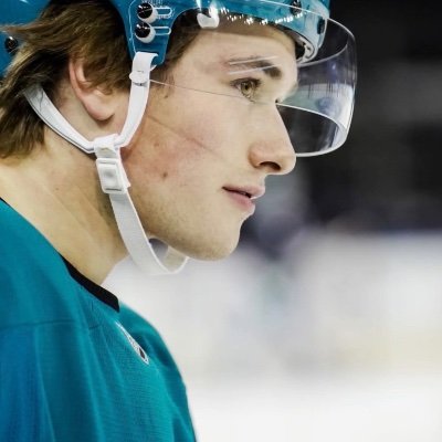Bengals fan and San Jose sharks fan