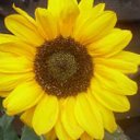 Josie Whitehead - @kip4ary - Twitter