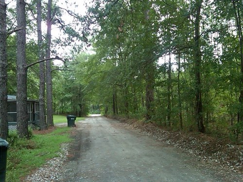 GeorgeDawne's profile picture. 