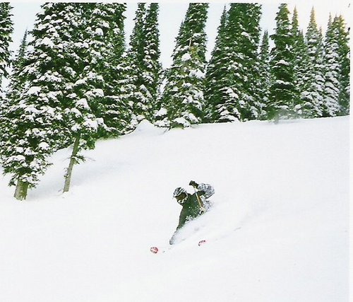 JLFahie23's profile picture. 