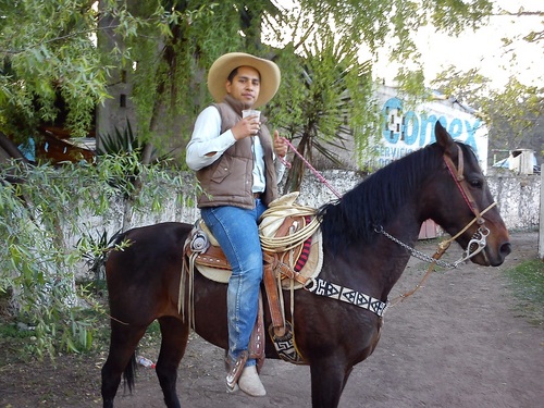 Médico Veterinario y Zootecnista