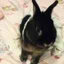 molly maher - @maher6932 - Twitter