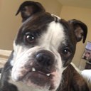 Aida Barragan - @AidaBarragan1 - Twitter