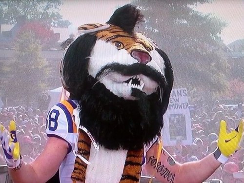 geauxtigersdcc's profile picture. 