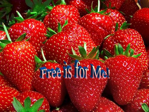 Free for me is the place to go for coupons, freebies, and product reviews and giveaways!!