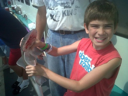 steviemusto's profile picture. 