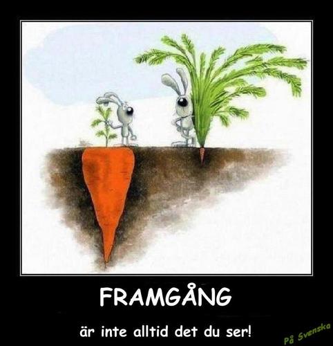 FBage's profile picture. I work for https://t.co/sfSIaDjbqh and my opinions do not reflect my colleagues or The Pool in general.