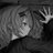 mzzsqj's profile image