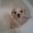 lovesupernova_'s profile image